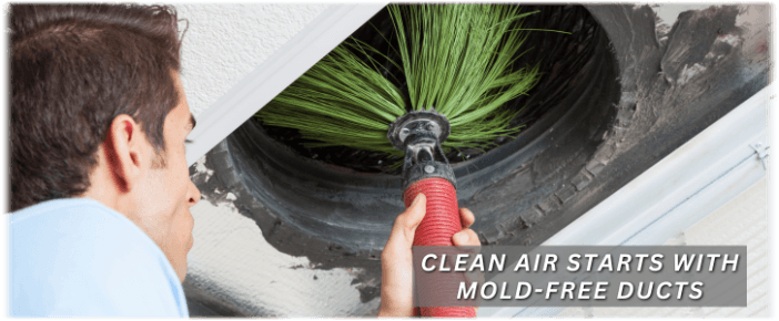 Air Duct Mold Removal in Grapevine TX