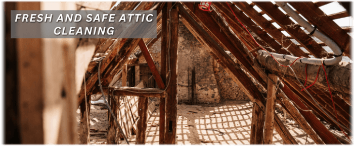 Attic Cleaning Grapevine TX